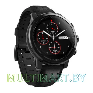 Смарт-часы Amazfit Stratos 2s Exclusive Edition картинка 2